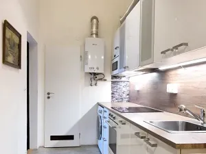 Pronájem bytu 2+1, Praha - Nové Město, Ke Karlovu, 54 m2