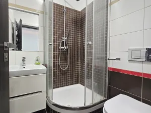 Pronájem bytu 1+kk, Praha - Nové Město, Opletalova, 22 m2