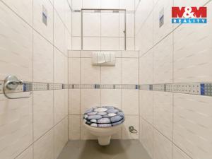 Pronájem bytu 2+kk, Plzeň - Severní Předměstí, Bolevecká, 54 m2