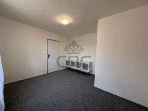 Pronájem rodinného domu, Čebín, 201 m2