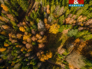 Prodej louky, Milíkov, 4541 m2