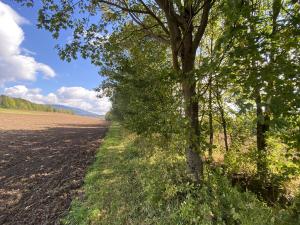 Prodej pozemku, Lánov - Horní Lánov, 718 m2