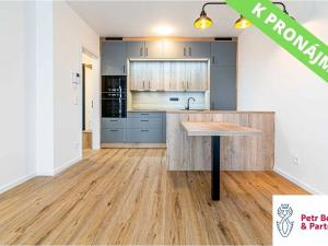 Pronájem bytu 2+kk, Kladno, Ke křížku, 48 m2