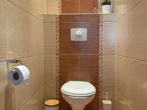 Pronájem bytu 3+kk, Kutná Hora, Koldova, 78 m2