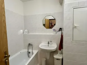 Pronájem bytu 1+1, Brno, Majdalenky, 137 m2