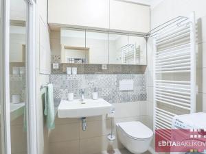 Pronájem bytu 1+kk, Olomouc, 17. listopadu, 33 m2