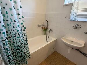 Pronájem bytu 1+1, Frýdek-Místek, Petra Cingra, 44 m2