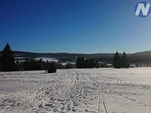 Prodej pozemku, Borová Lada, 7953 m2