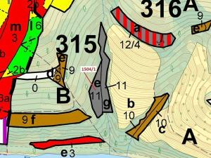 Dražba lesa, Hovězí, 2626 m2