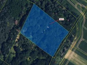 Dražba lesa, Přemyslovice, 7049 m2