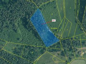 Dražba lesa, Rabí, 7006 m2