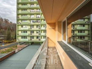 Prodej bytu 1+kk, Desná, Krkonošská, 28 m2