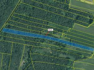 Dražba lesa, Jílovice, 13375 m2