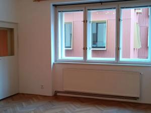 Pronájem bytu 1+1, Praha - Staré Město, U milosrdných, 41 m2