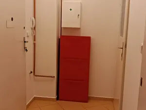 Pronájem bytu 1+1, Praha - Staré Město, U milosrdných, 41 m2