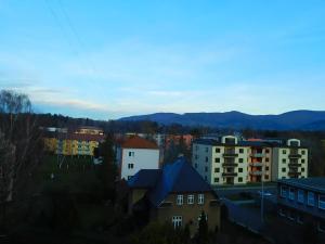 Prodej bytu 3+1, Frýdlant nad Ostravicí, Hlavní, 83 m2