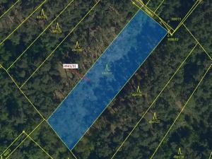 Dražba lesa, Vracov, 2231 m2