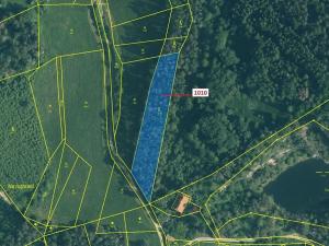 Dražba lesa, Rabí, 3054 m2