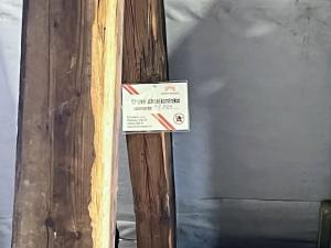 Prodej skladu, Brno, Kaštanová, 1806 m2