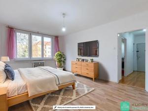 Prodej bytu 1+1, Teplice, Duchcovská, 37 m2