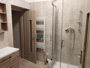 Pronájem bytu 2+kk, Prostějov, 70 m2