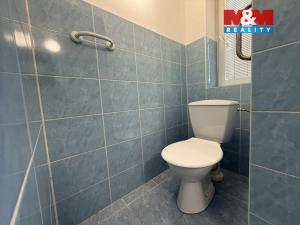 Pronájem rodinného domu, Petrovice u Karviné, 160 m2