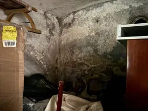 Pronájem - jiné, Praha, K Horkám, 30 m2