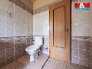 Prodej rodinného domu, Omlenice - Stradov, 175 m2