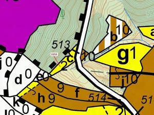 Dražba lesa, Valašská Senice, 917 m2