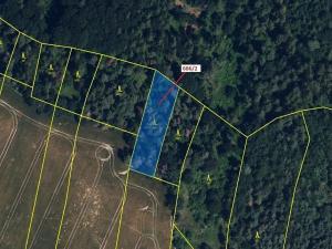 Dražba lesa, Přemyslovice, 1381 m2