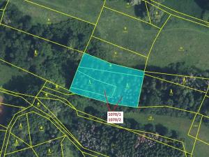 Dražba lesa, Kněžnice, 2271 m2