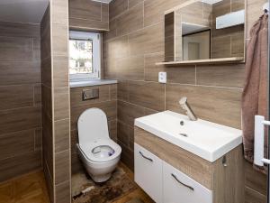 Pronájem bytu 2+kk, Opava - Předměstí, U Hliníku, 46 m2