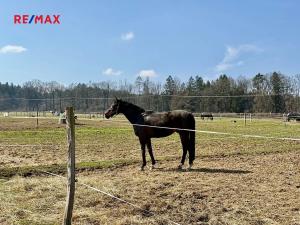 Prodej pozemku, Spálené Poříčí, 166477 m2