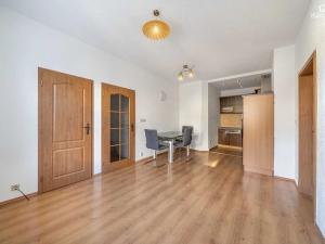 Pronájem bytu 2+kk, Plzeň, Vrchlického, 46 m2