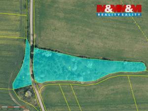 Prodej lesa, Načeradec - Pravětice, 19561 m2