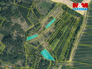 Prodej lesa, Načeradec - Pravětice, 19561 m2