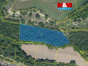 Prodej lesa, Lipno - Lipenec, 6203 m2