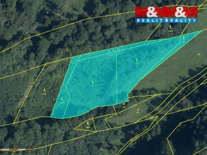 Prodej lesa, Olšany, 8828 m2