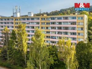 Pronájem bytu 4+1, Liberec - Liberec I-Staré Město, Březová alej, 80 m2