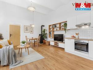 Prodej obchodního prostoru, Ústí nad Labem - Ústí nad Labem-centrum, Masarykova, 48 m2