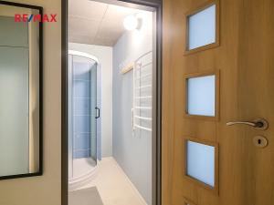 Pronájem bytu 1+kk, Praha - Chodov, Brodského, 30 m2