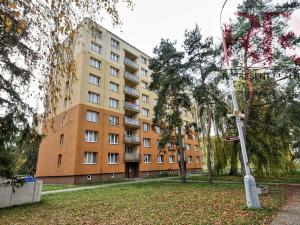 Pronájem bytu 2+1, Dobřany, Loudů, 65 m2