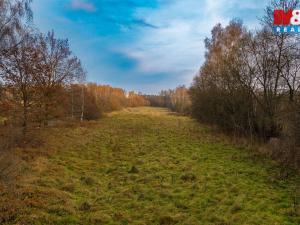 Prodej louky, Česká Lípa, 5589 m2