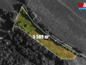 Prodej louky, Česká Lípa, 5589 m2