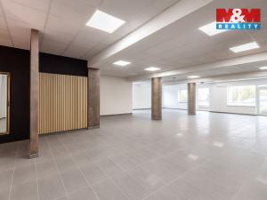 Pronájem obchodního prostoru, Louny, Březinova, 210 m2