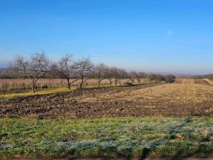 Prodej zahrady, Velké Bílovice, 3450 m2