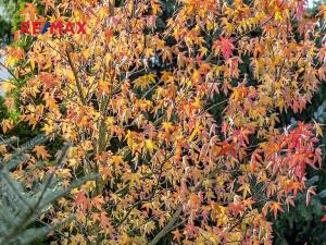 Prodej rodinného domu, Šimonovice, Vinohradní, 208 m2