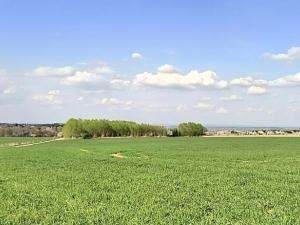 Prodej zahrady, Doubravčice, 7161 m2