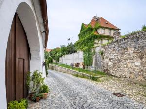 Prodej ubytování, Český Krumlov, Horská, 469 m2