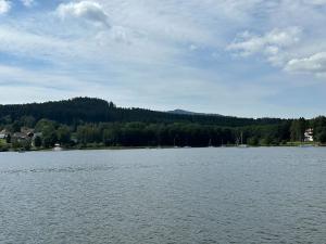 Prodej pozemku pro bydlení, Horní Planá, 1547 m2